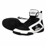Boxing shoes