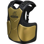 Chest Guards - Image 2