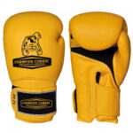 Boxing Gloves