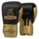Boxing Gloves